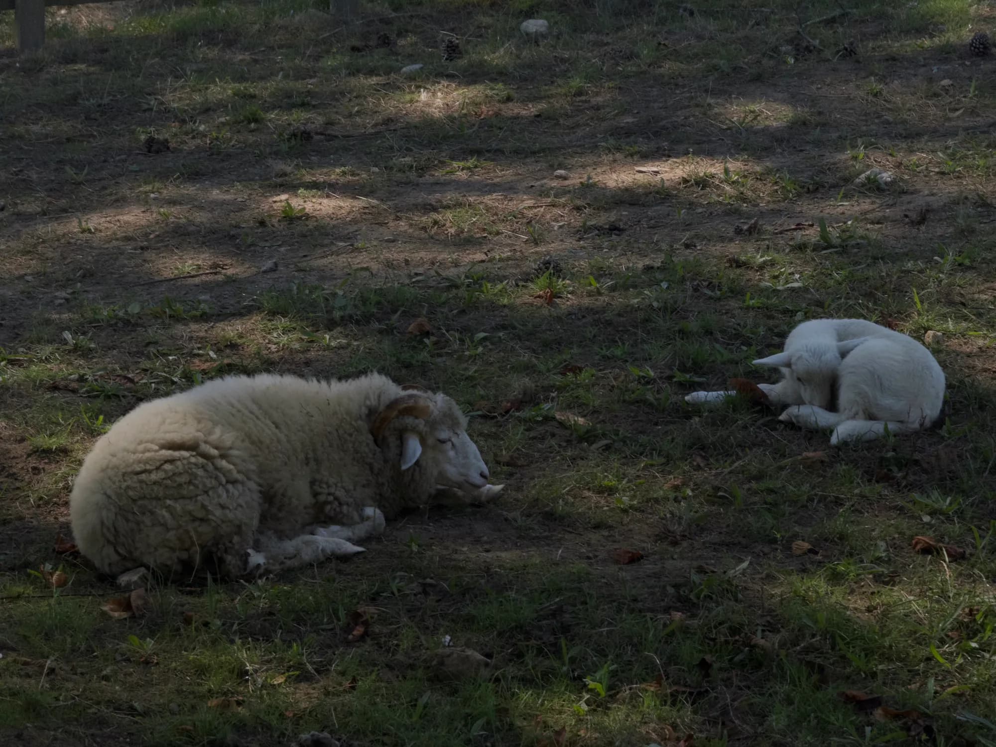 IMG 0045